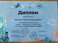 Истомин С., 3 место Океан - известный и загадочный